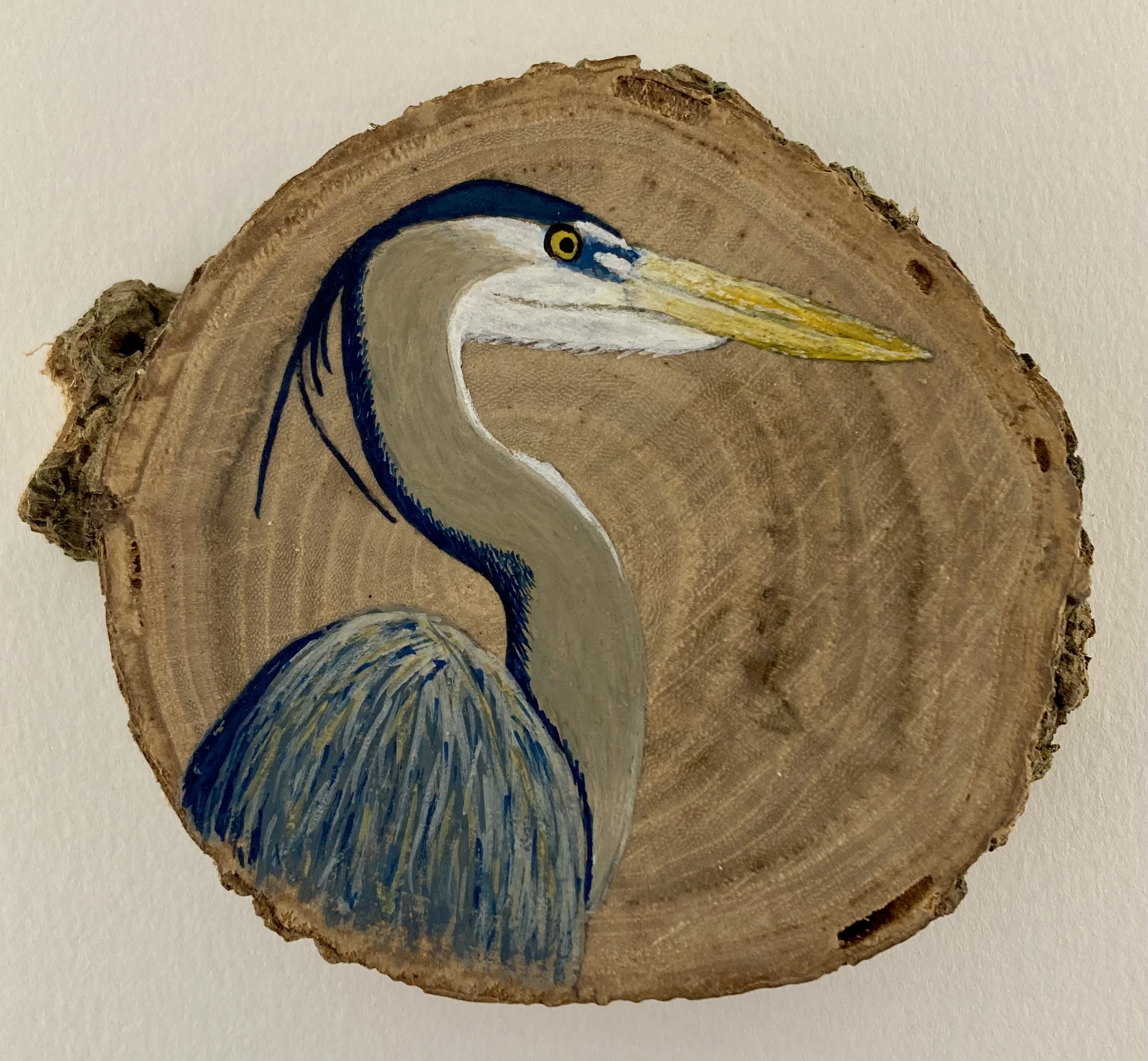Boomschijfje Reiger