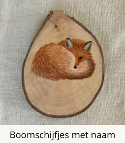 Boomschijfjes met naam Studio Verwonder
