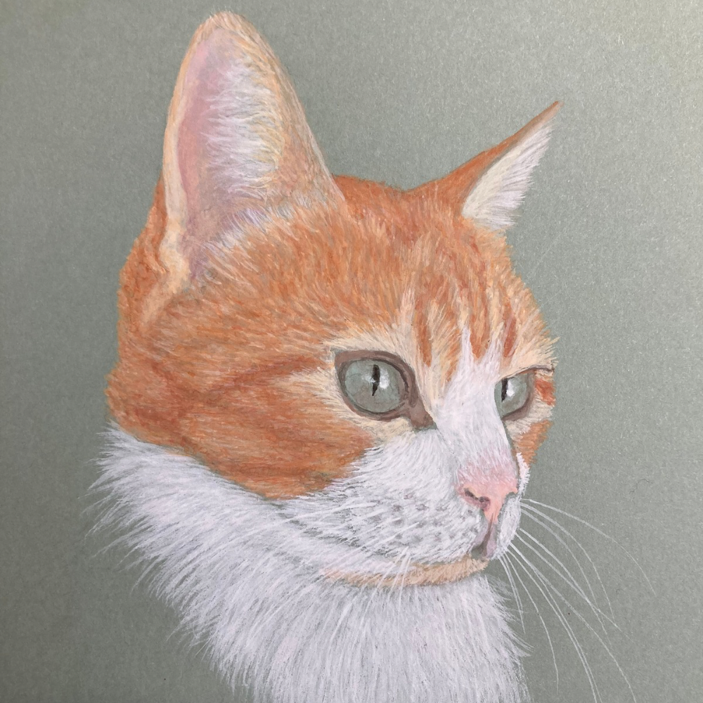 Huisdier portret