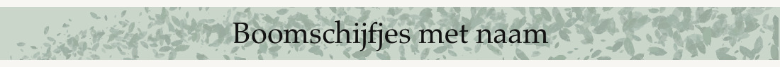 Boomschijfjes met naam