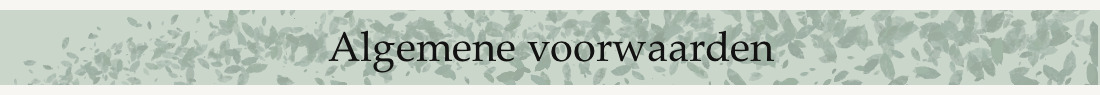 Algemene voorwaarden