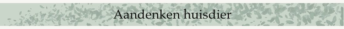 Aandenken huisdier