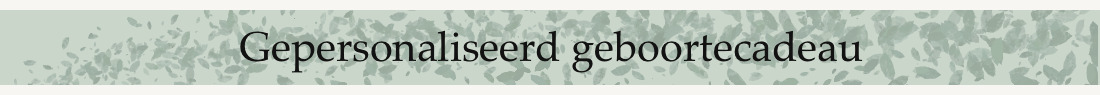 Gepersonaliseerd geboortecadeau
