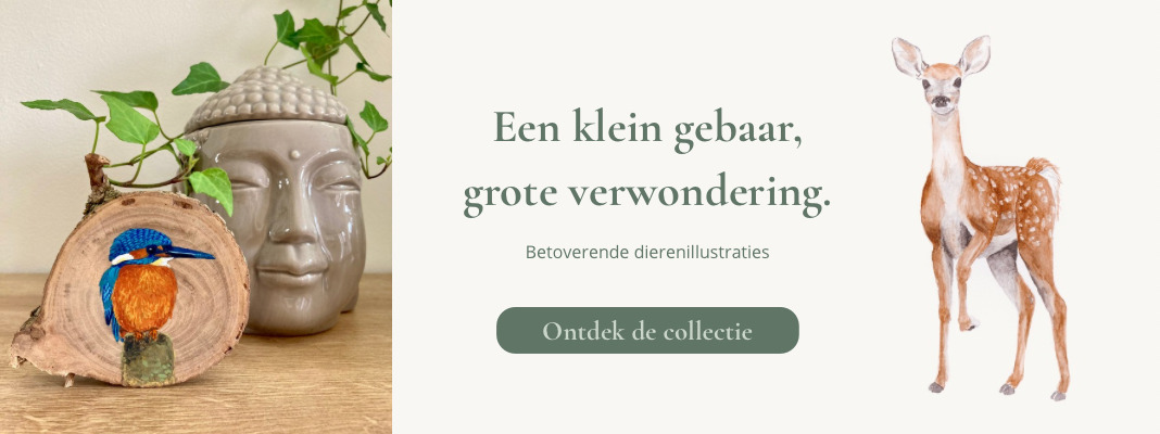 Ontdek de collectie