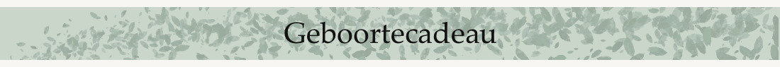 Geboortecadeau