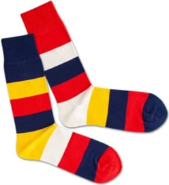 DillySocks Different Stripes Sokken - maat 41-46