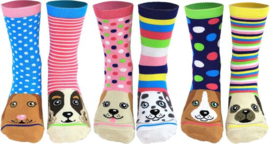 Odd Socks -  6 Dames Sokken Pawsome
