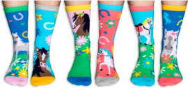 Odd Socks - Paarden Giddy Up - Meisjessokken - Mismatched - Multipack - MAAT 30-38