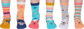 Odd Socks - Kindersokken Catkins Kat Multipack Mismatched 27-30 Cadeaudoos