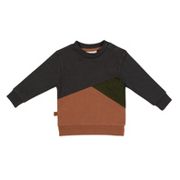 Frogs and Dogs - Dino Park Sweater Colour Block - Maat 50 - Jongens