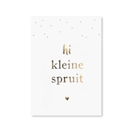 Kaart Kleine Spruit