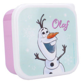 Vadobag Frozen Snackbox en Fruitdoos Lichtgroen en Roze - 3in1