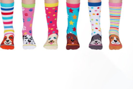 Odd Socks - Kindersokken Pup Stars Multipack Mismatched 30-39 Cadeaudoos