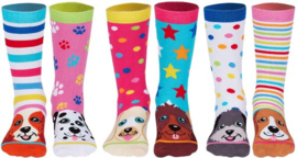 Odd Socks - Kindersokken Pup Stars Multipack Mismatched 30-39 Cadeaudoos