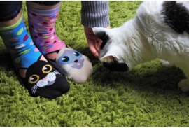 Odd Socks - 6 Dames Sokken - Catwalk - Maat 37-42