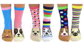 Odd Socks -  6 Dames Sokken Pawsome
