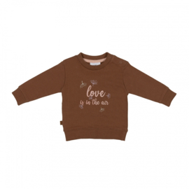 Frogs and Dogs - Winter Flower Sweater Love Hearts is in the Air - Roze - Maat 50 - Meisjes