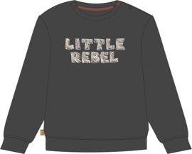 Frogs and Dogs - Dino Park Sweater Little Rebel - Maat 68 - Jongens
