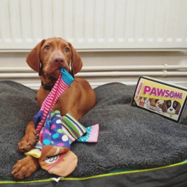 Odd Socks -  6 Dames Sokken Pawsome