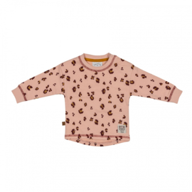 Frogs and Dogs - Wild About You Sweater Leo - Maat 50 - Meisjes