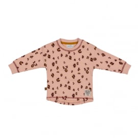 Frogs and Dogs - Wild About You Sweater Leo - Maat 74 - Meisjes