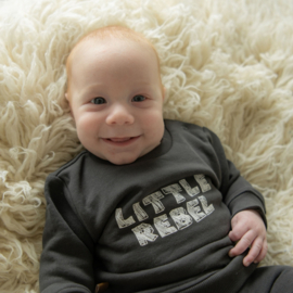 Frogs and Dogs - Dino Park Sweater Little Rebel - Maat 68 - Jongens