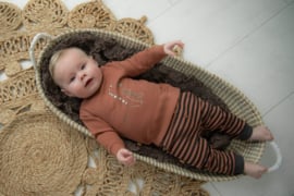 Frogs and Dogs - Dino Park Stripes Pants - - Maat 50 - Jongens
