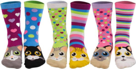 Odd Socks - 6 Dames Sokken - Catwalk - Maat 37-42