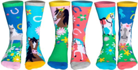 Odd Socks - Paarden Giddy Up - Meisjessokken - Mismatched - Multipack - MAAT 30-38