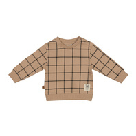 Frogs and Dogs - Playtime Sweater Checks - - Maat 50 - Jongens