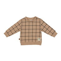 Frogs and Dogs - Playtime Sweater Checks - - Maat 68 - Jongens