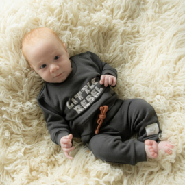 Frogs and Dogs - Dino Park Sweater Little Rebel - Maat 68 - Jongens