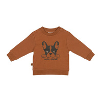 Frogs and Dogs - Playtime Sweater Loyal Friend - - Maat 68 - Jongens