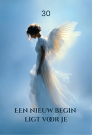 Orakel Boodschappen van Troost. Liefdevolle boodschappen van dierbaren in het licht