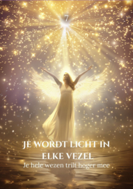 Magische Lichtreis Orakel, een orakeldeck als innerlijke reis.