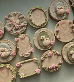Baby gans set
