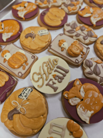 Herfst koekjes (set v 6)
