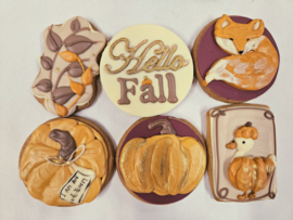 Herfst koekjes (set v 6)