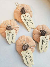 Pompoen koek met chocolade label