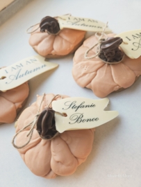 Pompoen koek met chocolade label