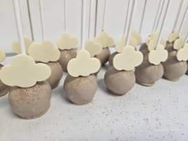 GEPERSONALISEERD CAKEPOP BASIS
