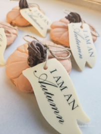Pompoen koek met chocolade label