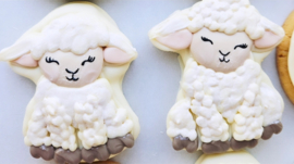 Lamb cookie set van 4