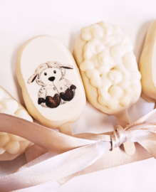 Baby lamb set van 4 cakesicles