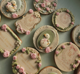 Baby gans set