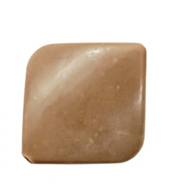 KENZO (speculoos)