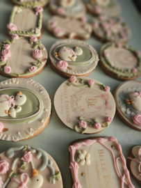 Baby gans set