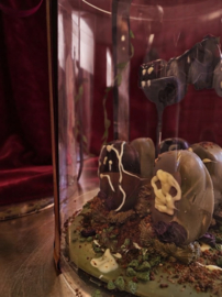 Volwassenen workshop halloween 17 okt
