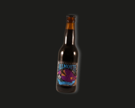 Pontus Brewing - Allmouth | Imperial smoked porter 9,5% (vanaf 6 flessen)