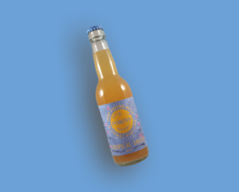 Pontus Brewing - Beach Boy | Tropical lager 3,7% (vanaf 6 flessen)